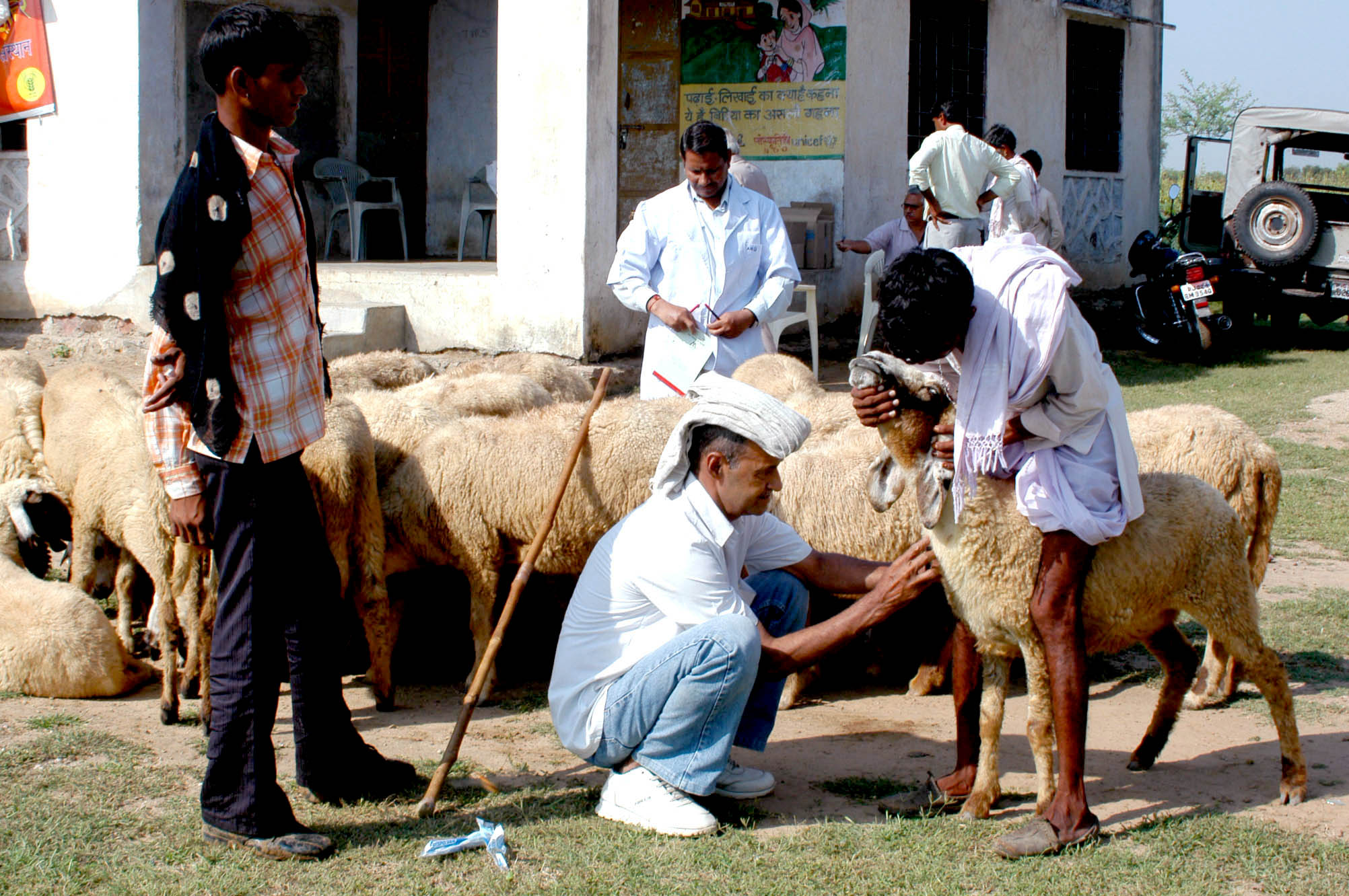 Brucellosis Blood Collection